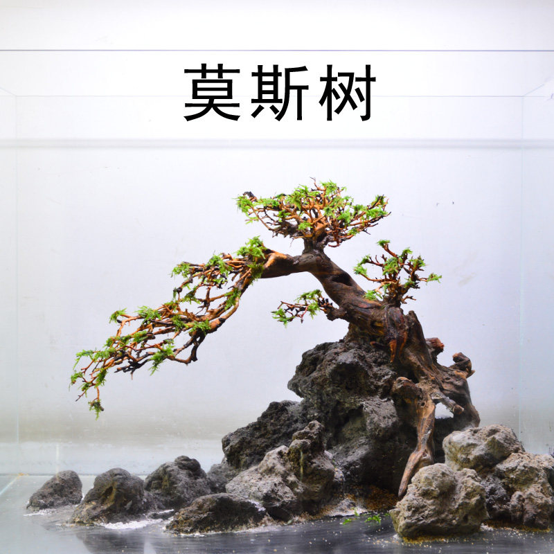 吉景佳巴西树沉木鱼缸造景装饰草缸沉木森林莫斯骨架杜鹃根迎客松