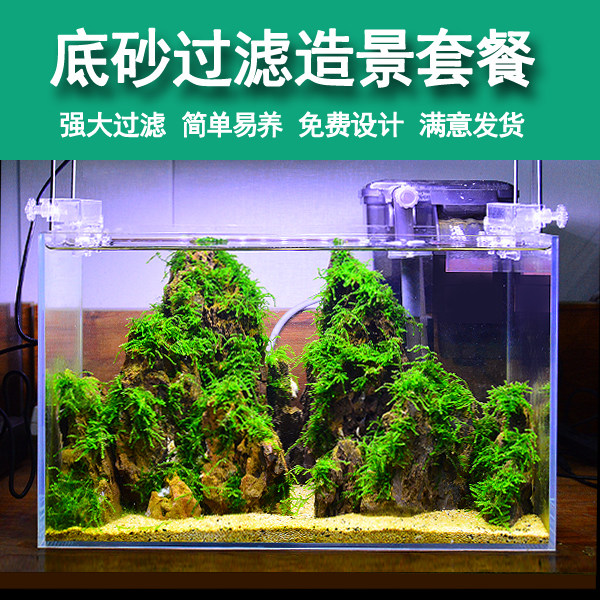 小鱼缸装饰造景水草素材模板 小鱼缸装饰造景水草图片下载 小麦优选