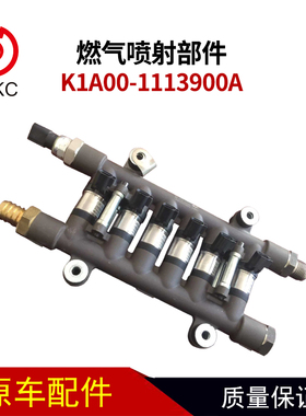 燃气喷射部件K1A00-1113900A计量阀喷嘴喷射器六缸机六个喷嘴总成