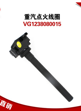 重汽豪沃12L燃气发动机380马力点火线重汽点火线圈VG1238080015