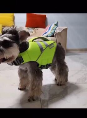 Zooland域揽宠物救生衣狗狗游泳衣服中大型成犬幼犬泰迪金毛柯基