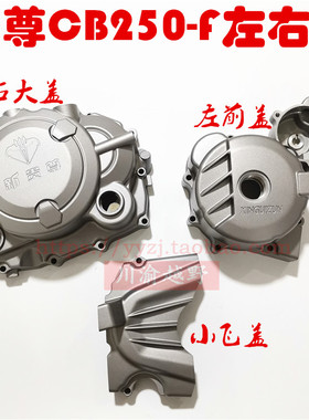 CB250-F大头机发动机N911极盗者3战狼小飞盖左前盖离合盖磁电机盖