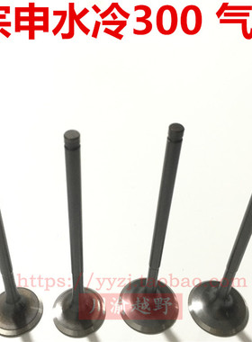卒玛波速尔M6歼1 极盗者4宗申CBS300水冷发动机配件气门 气门油封