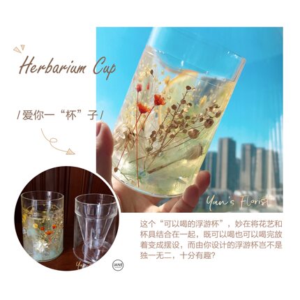 Yan‘s岩喜| Herbarium Cup 亚克力空心浮游杯 漱口杯 手工diy含