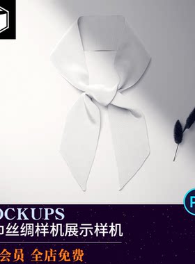 丝巾围巾品牌Mockup展示样机PSD