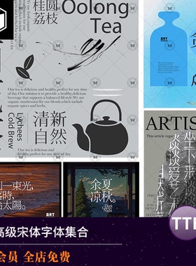 高级字体宋体中文procreate素材ppt可商用pr海报艺术ps字体包下载