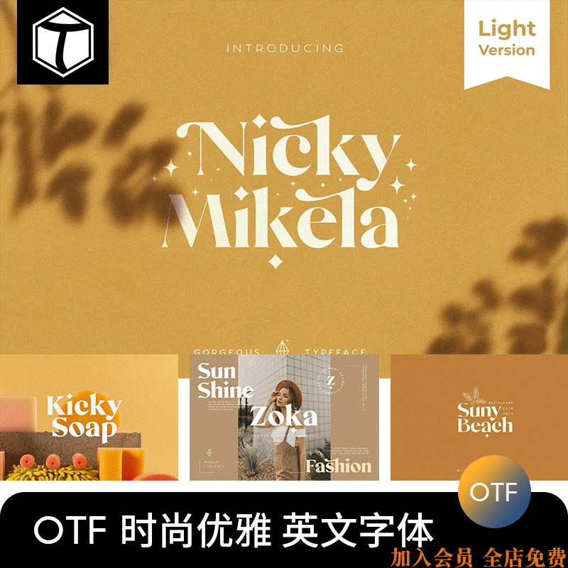 时尚简约高端华丽优雅的Mikela Light英文字体PS/AI电脑字体包TTF属于什么档次？