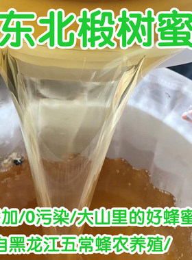 东北五常椴树蜜500g纯正天然蜂产品农家自产土蜂蜜自然成熟原蜜