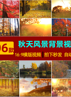 S0136实拍空镜头唯美怀旧秋天风景 枫叶落叶 LED大屏背景视频素材