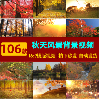 S0136实拍空镜头唯美怀旧秋天风景 枫叶落叶 LED大屏背景视频素材