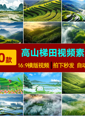 S0259高山梯田水稻视频绿色农业梯田农作物新农乡村振兴视频素材