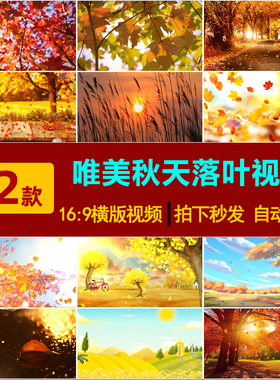 S0145唯美怀旧秋天风景 枫叶树林落叶 LED大屏幕舞台背景视频素材