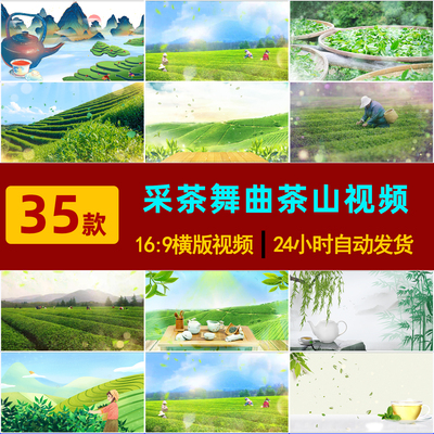 S0099采茶舞曲茶山情歌舞台LED大屏背景喝茶品茶园山风景视频素材