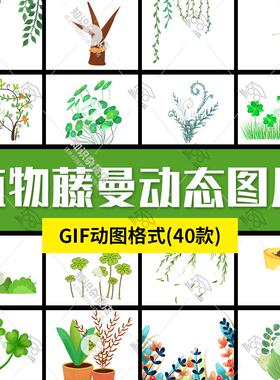 绿色植物藤曼gif动图柳树三叶草叶子风中摇摆生长动态图片素材