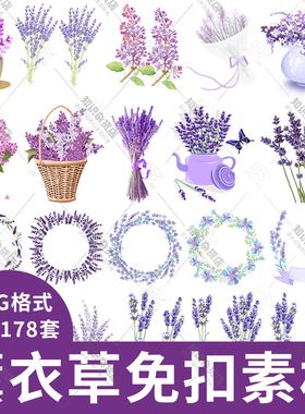 唯美浪漫卡通手绘紫色薰衣草花卉花朵花环海报PNG免扣PS设计素材