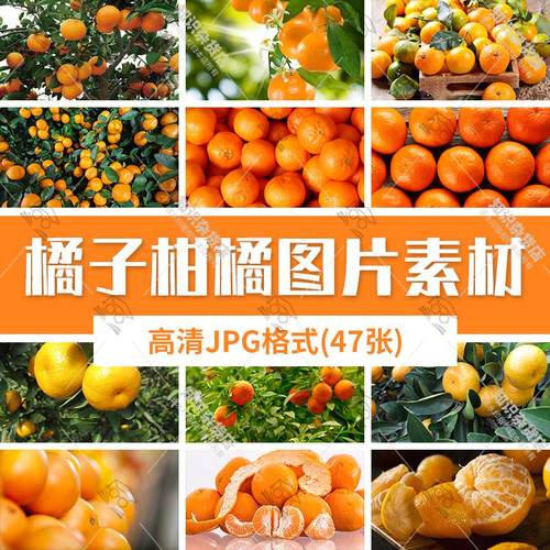 高清图片桔子橘子柑橘桔树果实果肉果汁饮品新鲜水果JPG素材背景