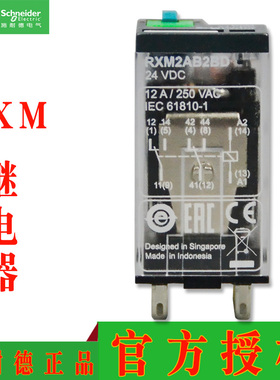 原装施耐德中间继电器RXM2AB1 RXM2AB2 B7 BD E7 ED F7 FD JD P7