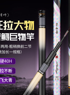 驭青师巨物杆黑坑湖库飞磕青鱼草鱼鲟鱼标塘狂拉大物钓鱼竿青鲟决