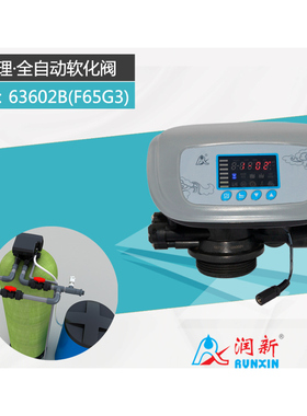 全自动软化阀63502B(F65G1)63602B(F65G3)软化水设备软水器2T阀门