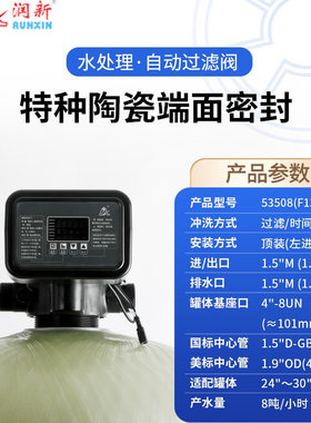 全自动过滤阀53508_F134A1 53608_F134A3润新控制阀水处理8吨流量