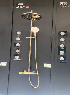 科勒K-33099/33100/33095/33096珂灵恒温双花洒淋浴柱