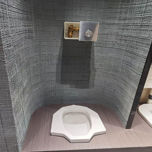 科勒座便器/蹲便器手动冲水阀