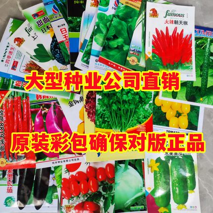蔬菜种子四季播阳台农家田园易种种菜庭院青菜套餐盆栽黄瓜籽包邮