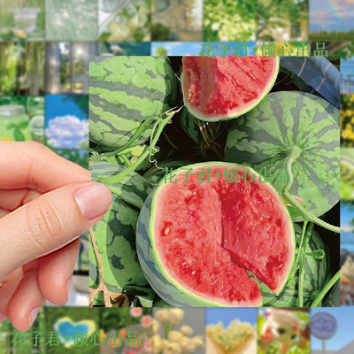 126张夏日盐汽水贴纸ins风小清新风景高颜值装饰手账桌面贴画防水