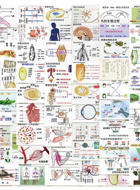 128张生物知识点贴纸ins风初中生创意学习生物图文知识点总结贴画
