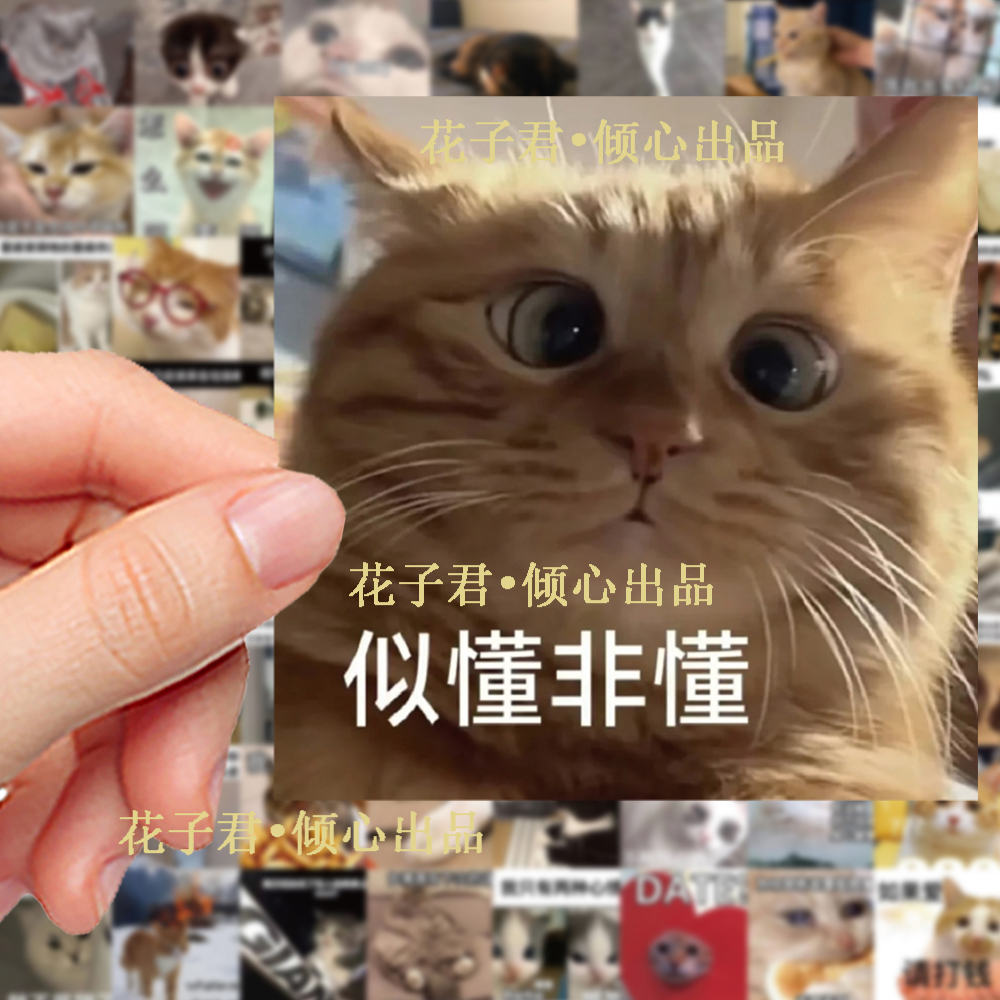 124张网红写实猫meme梗图贴纸沙雕搞笑猫咪表情包装饰手机壳贴画
