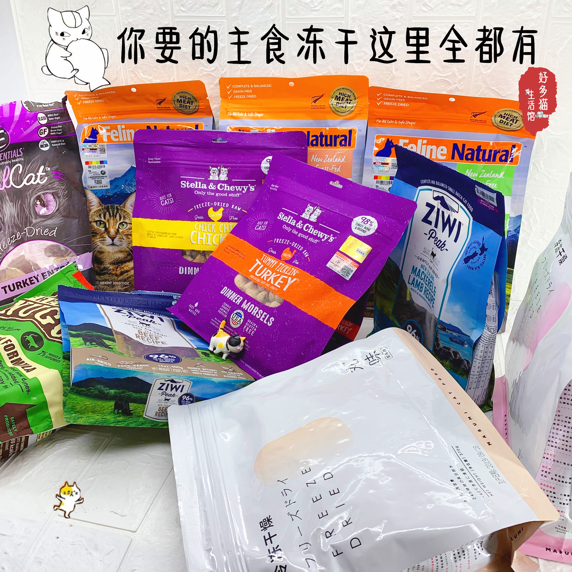 k9主食冻干三文鱼鸡肉成幼猫粮