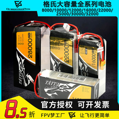 ACE格氏10000 12000 16000 22000 25000 32000mah格式大容量电池