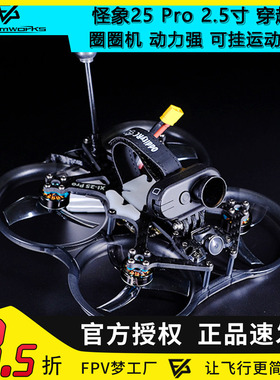FPV 怪象25 PRO V3 2.5寸 涵道6S倒置模拟到手飞 XI 穿越机动力强