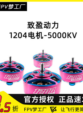 致盈动力 RCinpower GTS  1204 电机  迷你 室内穿越机 无刷马达