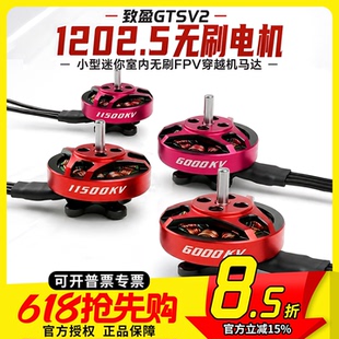 FPV 致盈动力 RCinpower GTS V2 1202.5 无刷马达 迷你穿越机电机