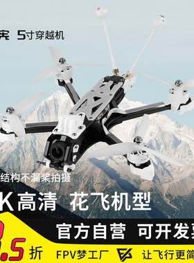 天宪5寸穿越机大疆DJI O4 Pro高清数传花飞拍摄FPV穿越机