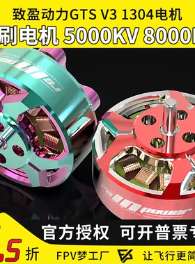 RCinpower致盈动力GTS V3 1304无刷电机2英寸5000KV 8000KV