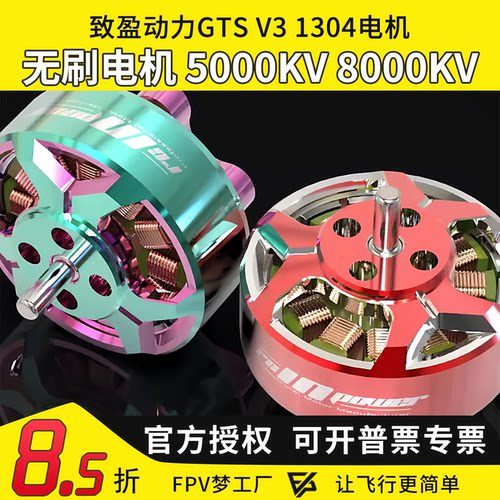 致盈动力GTSV31304电机