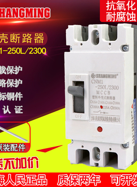 上海人民2P塑壳断路器RCM1-250A 200A空气开关160A大功率单相220V