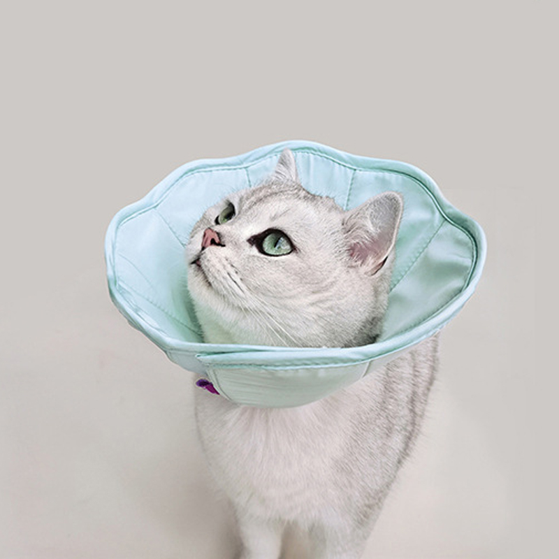 宠物绝育伊丽莎白圈猫咪防舔项圈术后伤口防抓咬轻便头套狗狗脖圈