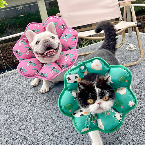 狗狗猫咪伊丽莎白圈防护脖圈宠物防舔防抓防挠脖套HeyElf