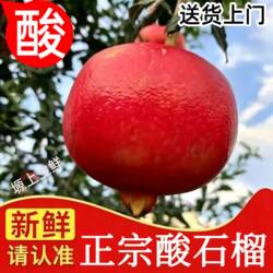 酸石榴新鲜水果特大黑钻红籽当季孕妇陕西临潼酸爽可泡酒专用