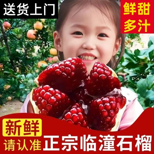 正宗陕西临潼石榴，产地直发