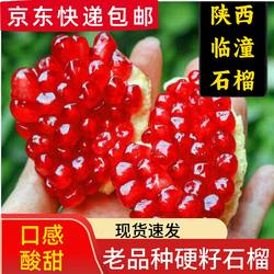 【硬籽石榴】正宗老品种陕西临潼石榴新鲜水果酸甜味粉红籽石榴