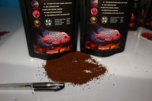 泰国进口WJ罗汉鱼起头增色幼苗专用小苗攻头增色增火气助退砂饲料