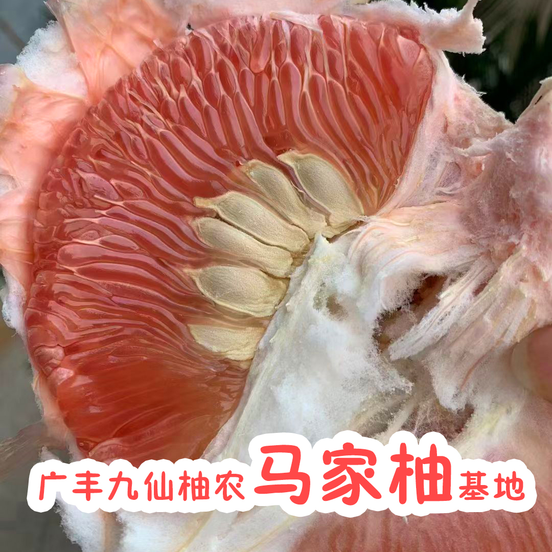 广丰马家柚批发60斤特级大果超甜