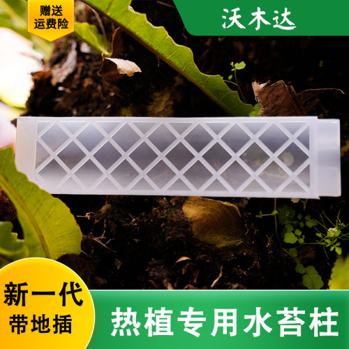 水苔柱爬藤植物造型热植攀附柱绿萝龟背竹攀爬柱固定棒支架
