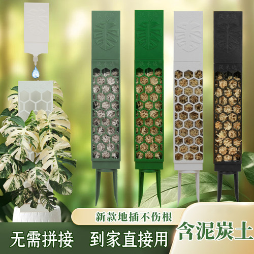 龟背竹热植水苔柱爬藤支架
