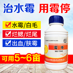 水产养殖鱼塘白毛病鱼池水杨酸水霉净鱼用专治水霉病腮鳃霉水霉清