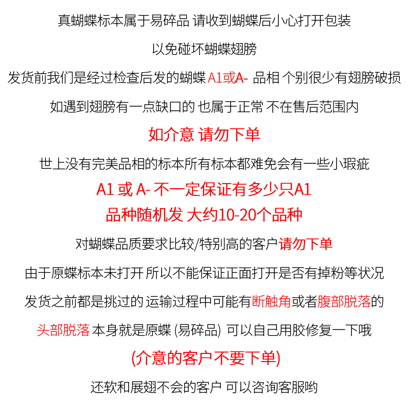 真蝴蝶标本未展翅原蝶A1/A-品质DIY手工原材料三角袋包装科普教具